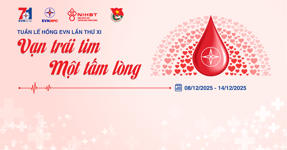 Bộ nhận diện Tuần lễ hồng EVN lần thứ XI - năm 2025