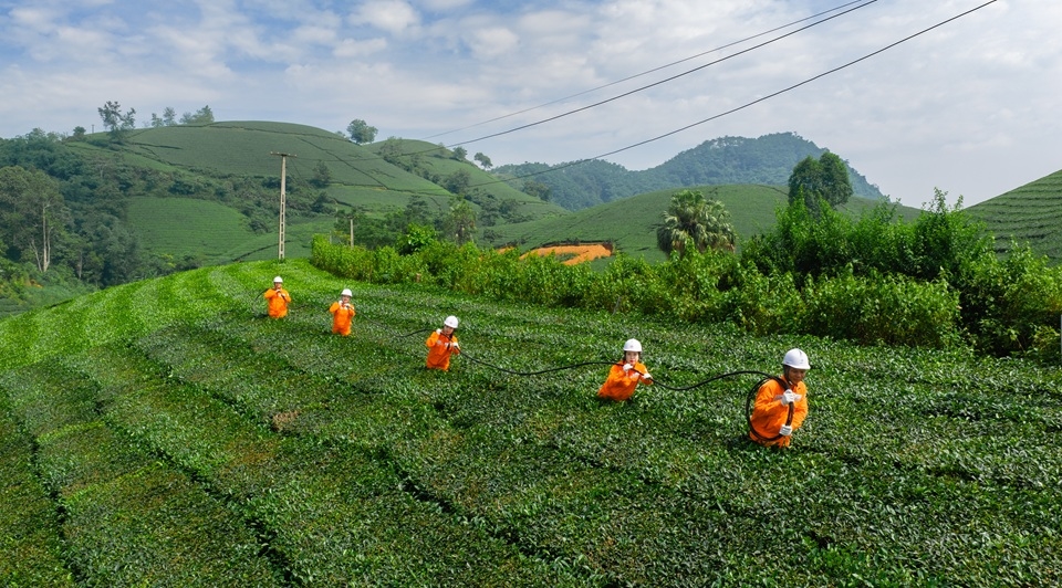 PC Phu Tho. Cõng điện lên non