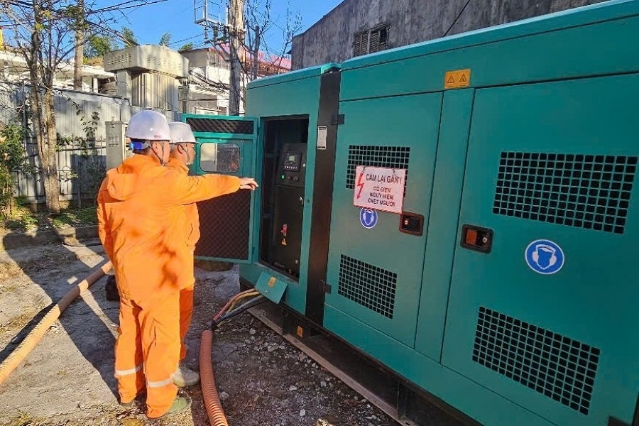 Dam bao dien le hoi hoa Tam giac mach