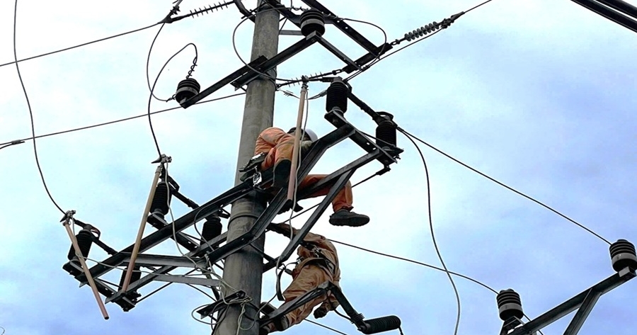 Đội QLĐLKV Trấn Yên hoàn thành 100% phục hồi lưới trung áp sau bão Bualoi