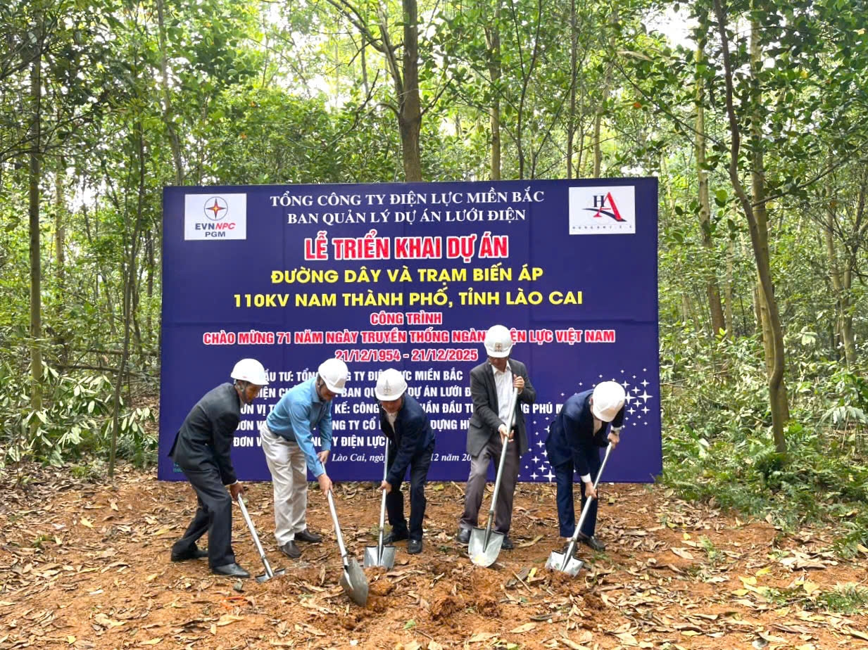 z7351861683439_5584528e4537e04a3a704a4cb8f101d4