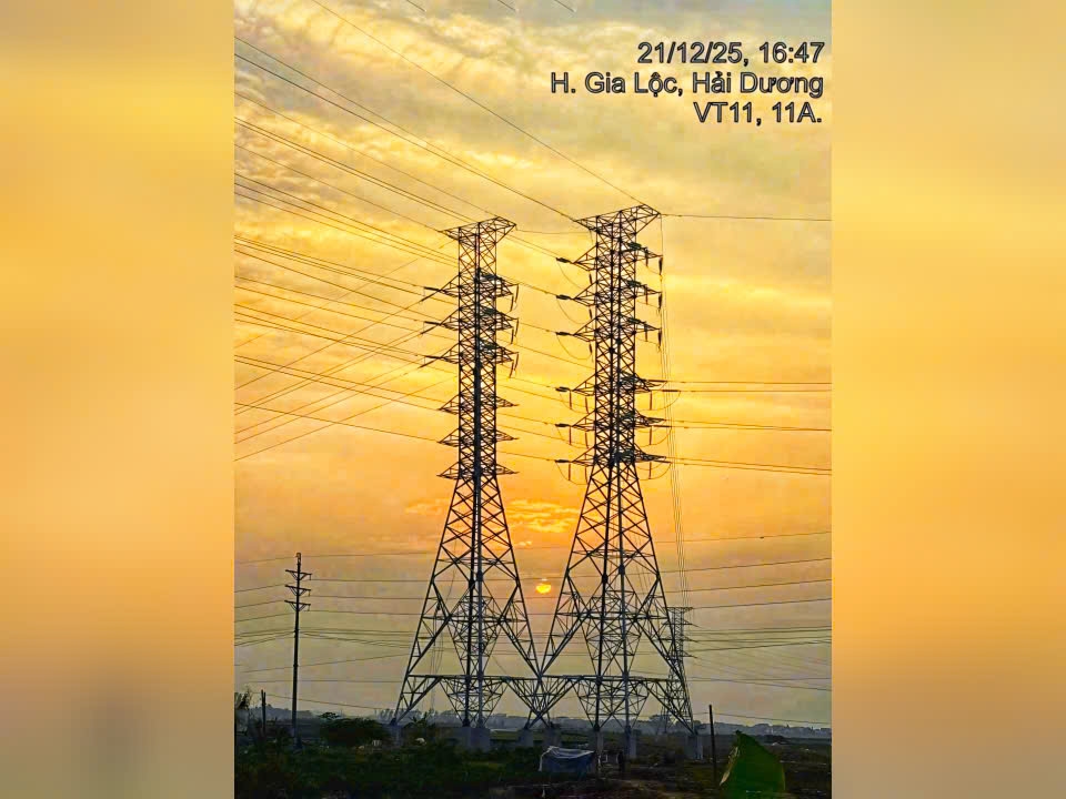 4714e95a5775d82b81648