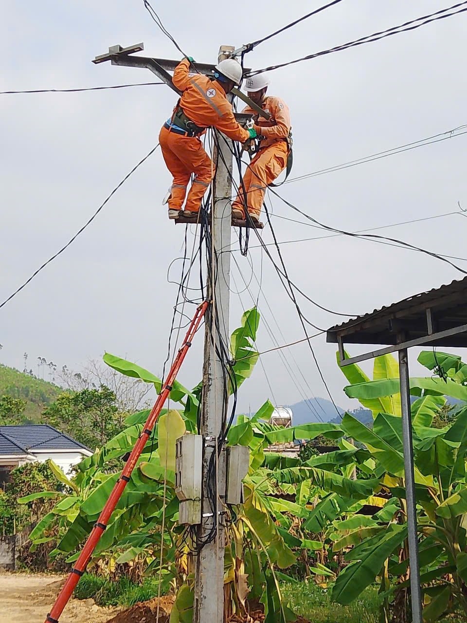 606150753_1341575228010120_6585089265689212611_n