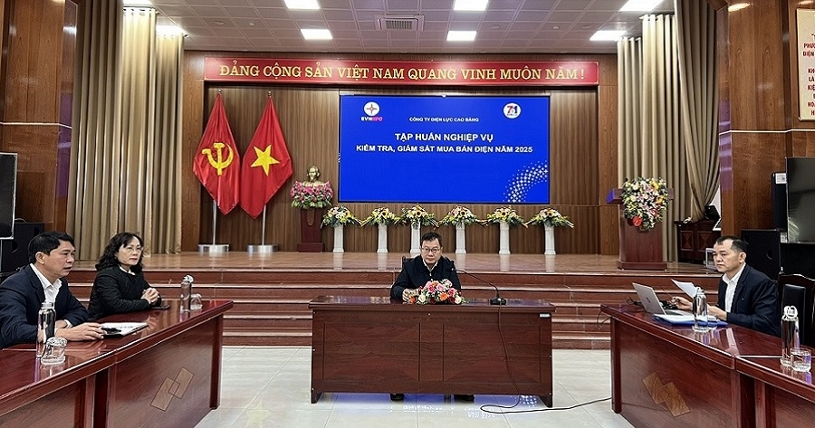 Công ty Điện lực Cao Bằng tập huấn trực tuyến về công tác kiểm tra, giám sát mua bán điện