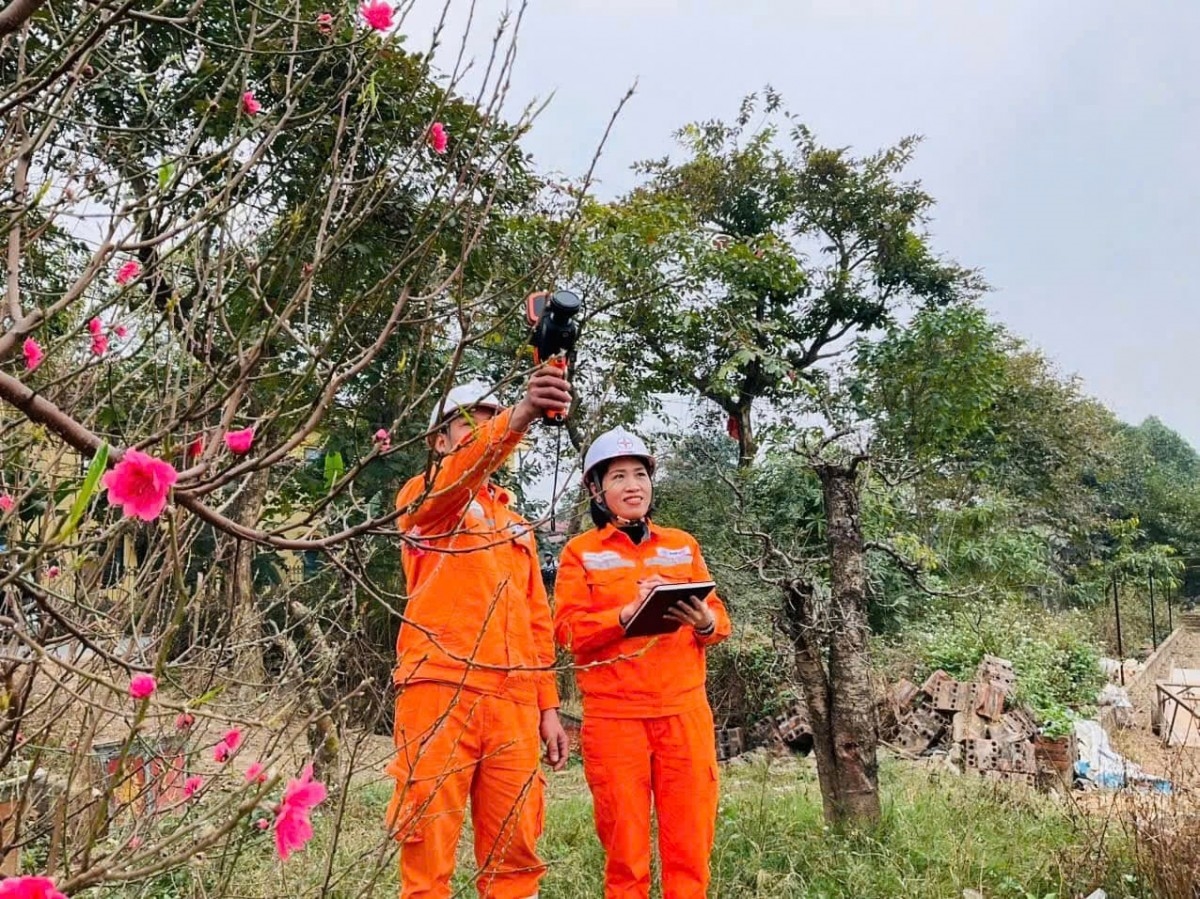 z7415403794832-8ad32b2d1c72405a4263d5adac96bf8820260110090216