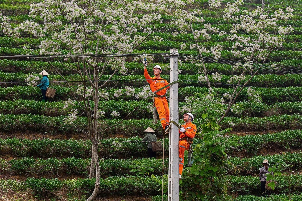 z7415403818382-8dc422211b93184c7633a24fa0b60c6c20260110090220