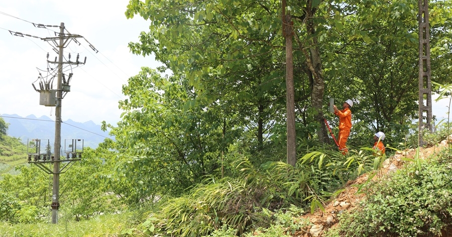 Công ty Điện lực Lào Cai: Những dấu ấn đặc biệt năm 2025