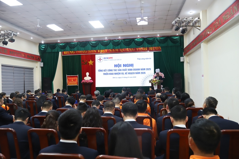 PCSLhoinghitongket (10)