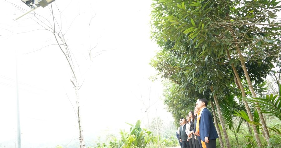 Công ty Điện lực Tuyên Quang lan tỏa chương trình “Thắp sáng đường quê, sáng bước bản làng”