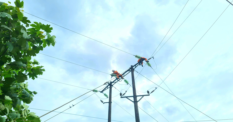 Để mùa xuân sáng hơn