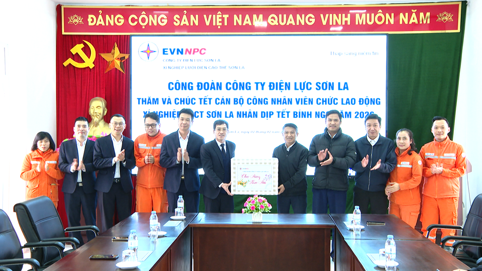 ToHieuXNluoidien (3)