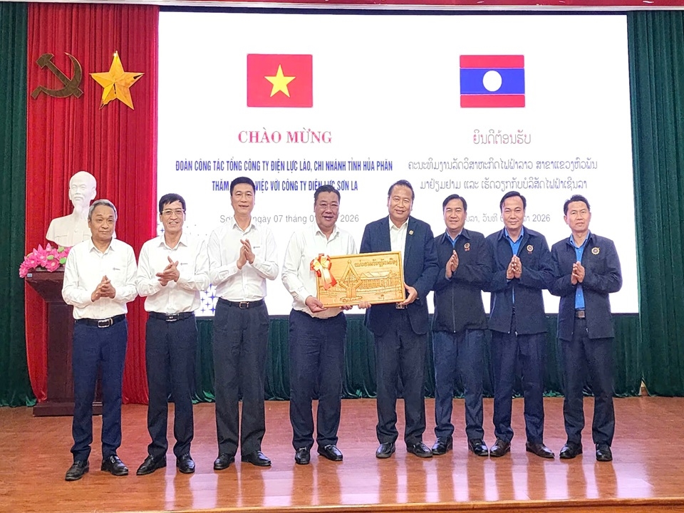 DienlucHuaPhanchucTet (10)