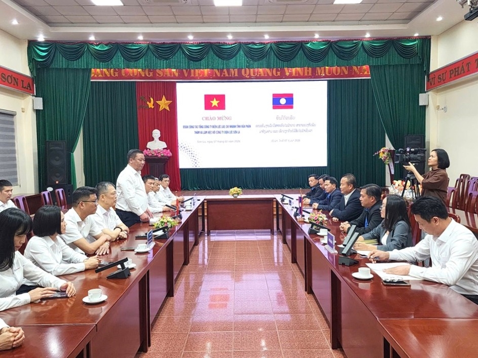 DienlucHuaPhanchucTet (11)