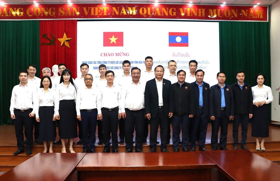 DienlucHuaPhanchucTet (4)