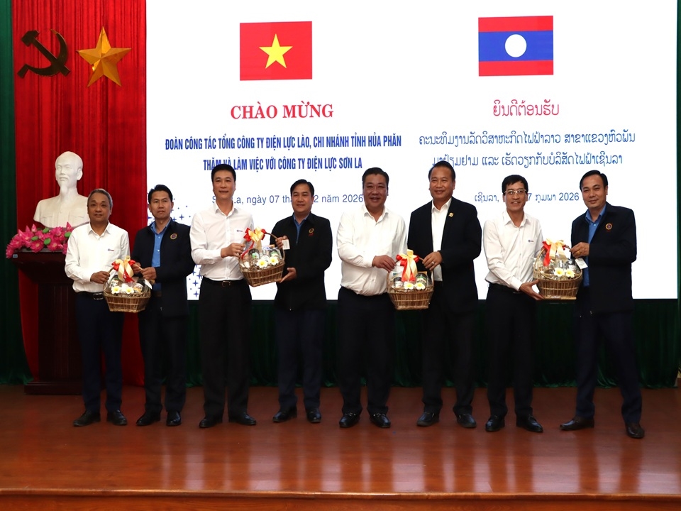 DienlucHuaPhanchucTet (7)