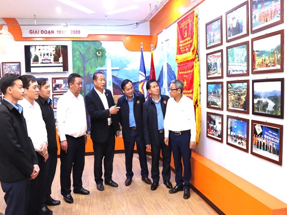 DienlucHuaPhanchucTet (9)