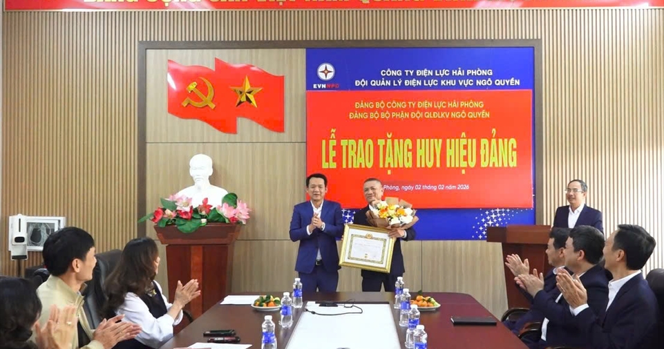 Đảng bộ Công ty Điện lực Hải Phòng trao tặng Huy hiệu 30 năm tuổi đảng