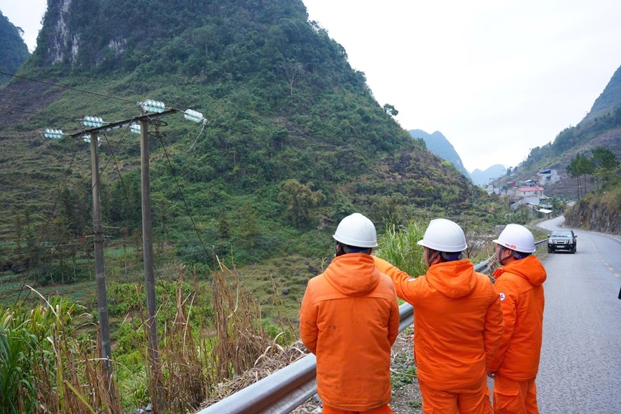 Anh Meo VAc kiem tra dien 1