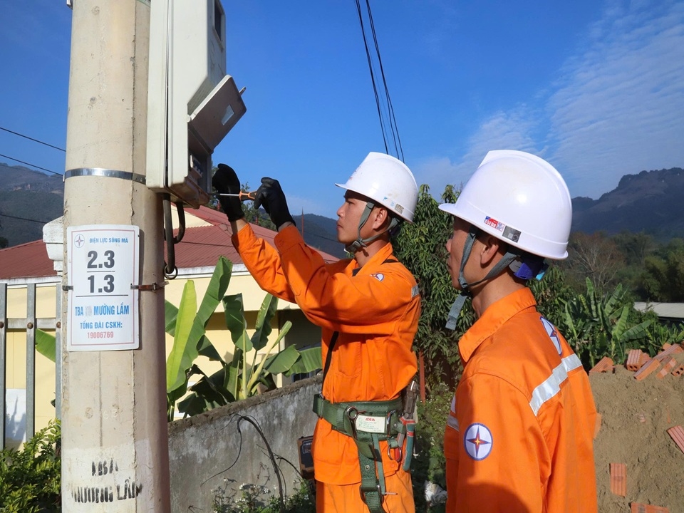 dambaocapdienTet (1)