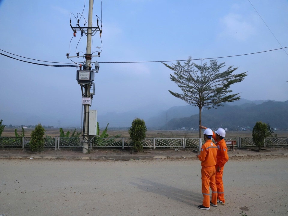 dambaocapdienTet (2)