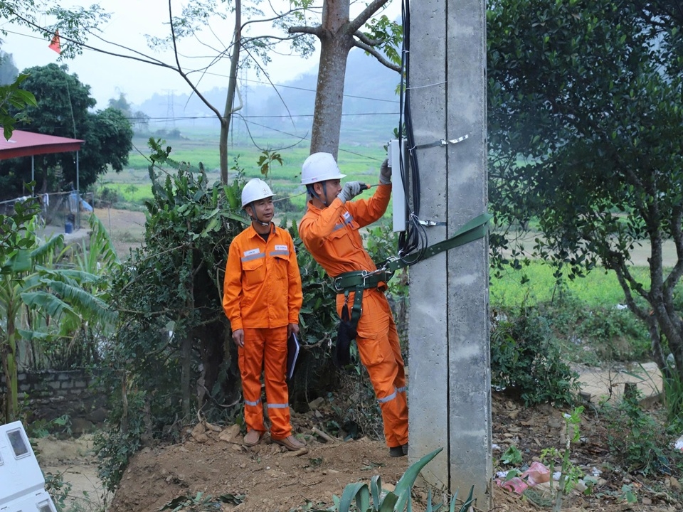 dambaocapdienTet (4)