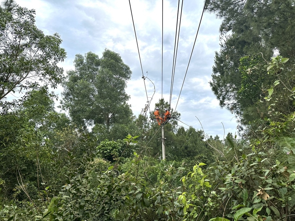 z7550939274469_10c191d0c5e7ac46349a8f5cf85deb68