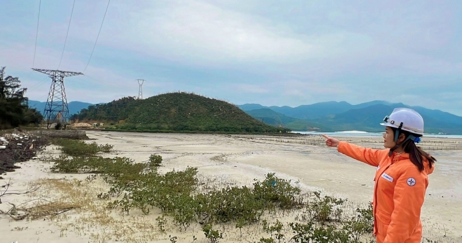 Bông hoa ngành điện giữa biển trời Vân Đồn