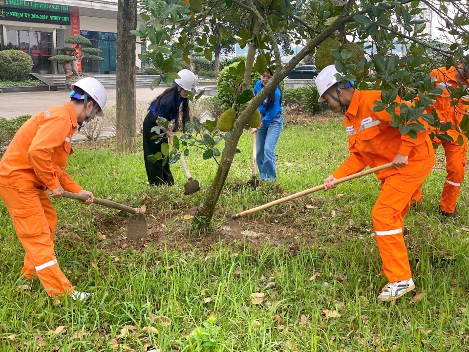 Trồng cây 2026 (1)