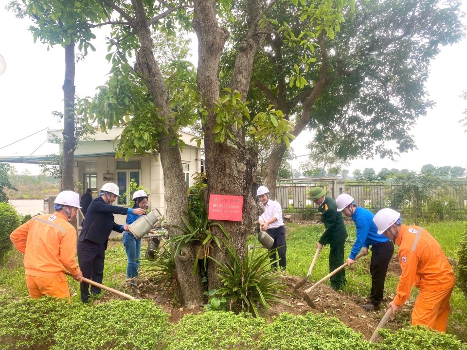 Trồng cây 2026 (2)