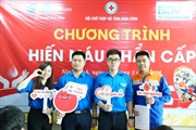 Tuổi trẻ Công ty Điện lực Ninh Bình sôi nổi các hoạt động chào mừng 95 năm Ngày thành lập Đoàn TNCS Hồ Chí Minh