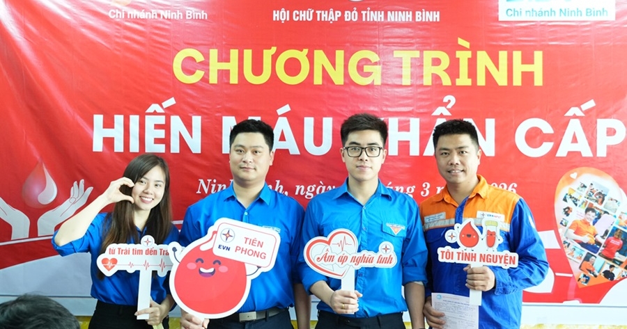 Tuổi trẻ Công ty Điện lực Ninh Bình sôi nổi các hoạt động chào mừng 95 năm Ngày thành lập Đoàn TNCS Hồ Chí Minh