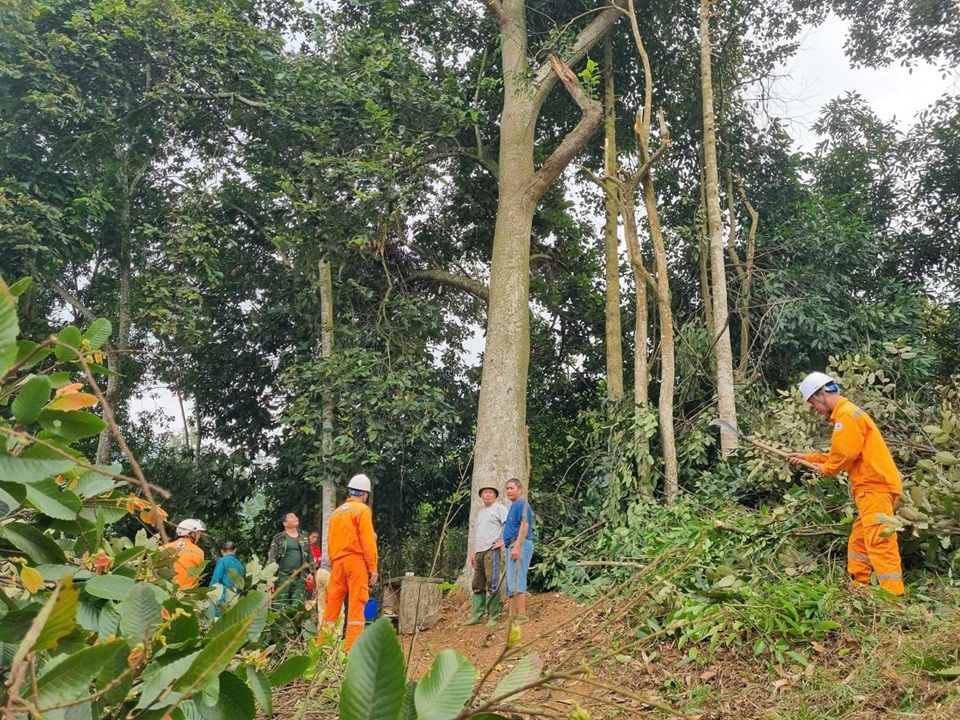 56.1. Nhân viên Tổ QLVH trung thế phối hợp Nhân dân thôn Hang Đá xã Xuân Quang chặt tỉa cây ngoài hành lang đường dây 35kV.