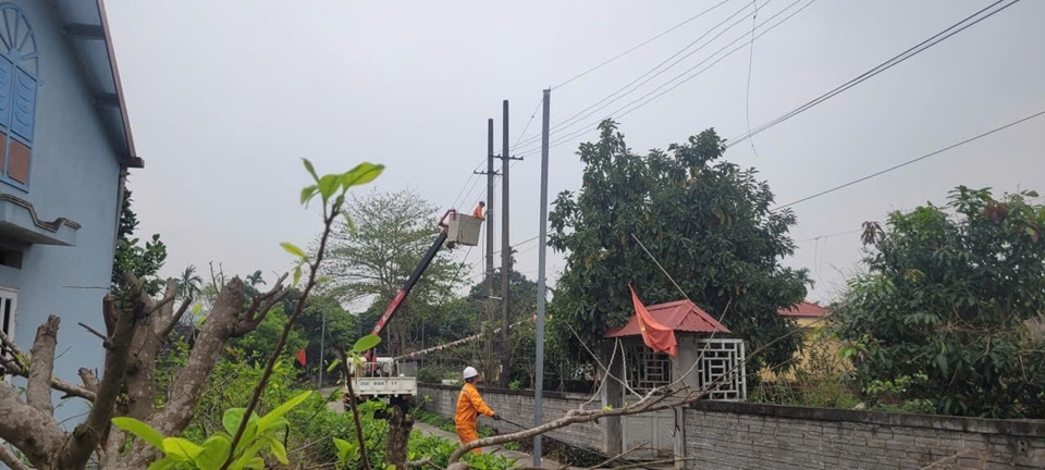 56.3. Xe nâng đã phát huy hiệu quả để thi công nhanh, đảm bảo an toàn