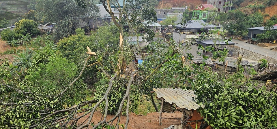 57. 1. Cây gãy, đổ đè vào dây điện do mưa giông lốc