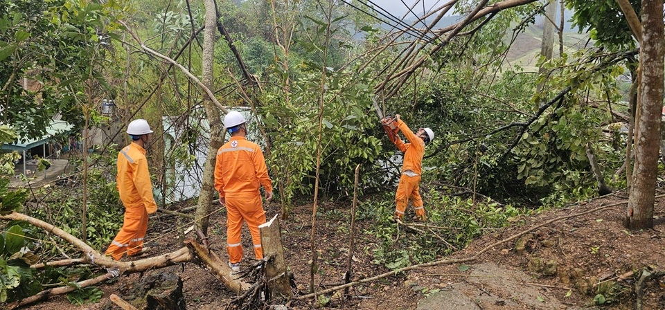 57. 2. Tổ QLTH Bản Lầu phát dọn cây cây đổ vào dây điện