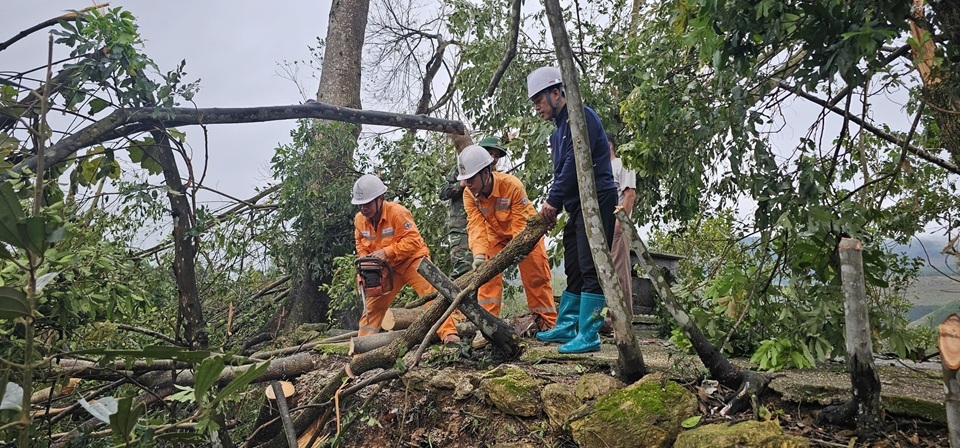 57.3. Ông Nguyễn Phúc Hưởng - Đội trưởng Đội QLĐLKV Mường Khương chỉ đạo phát dọn cây cây đổ vào dây điện