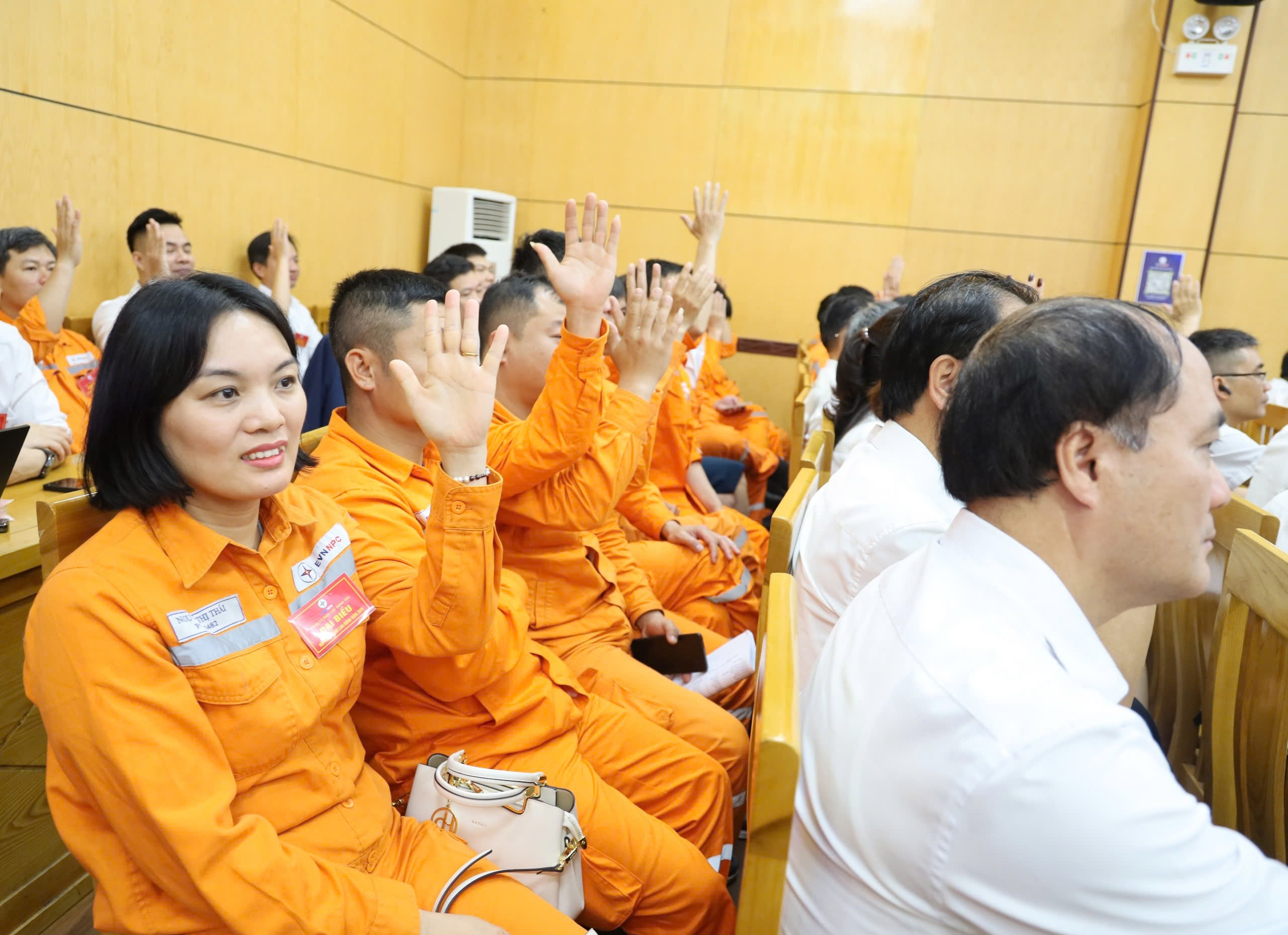 4f8bae44ddf053ae0ae1