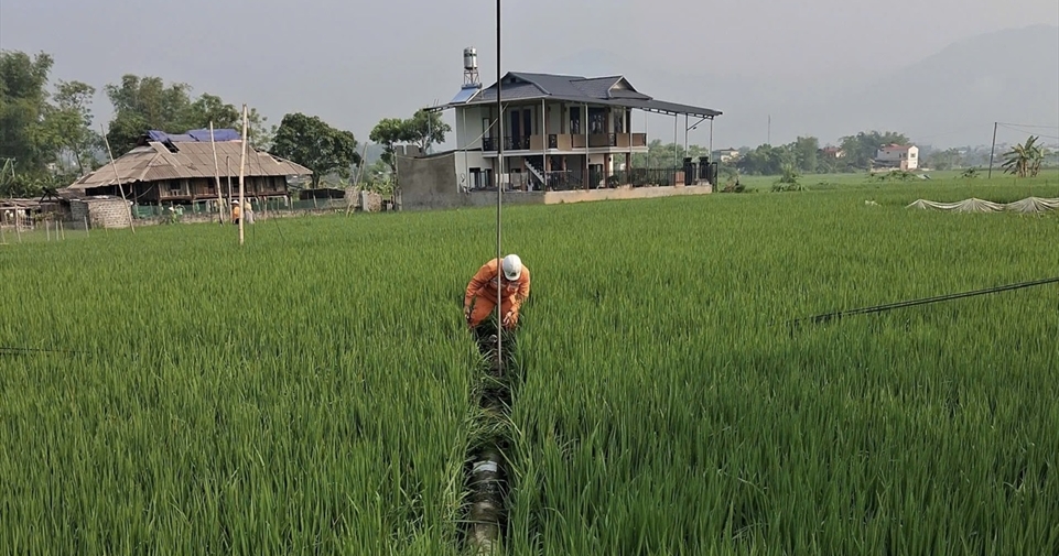 Khẩn trương khắc phục hậu quả giông lốc, sớm cấp điện trở lại phục vụ nhân dân