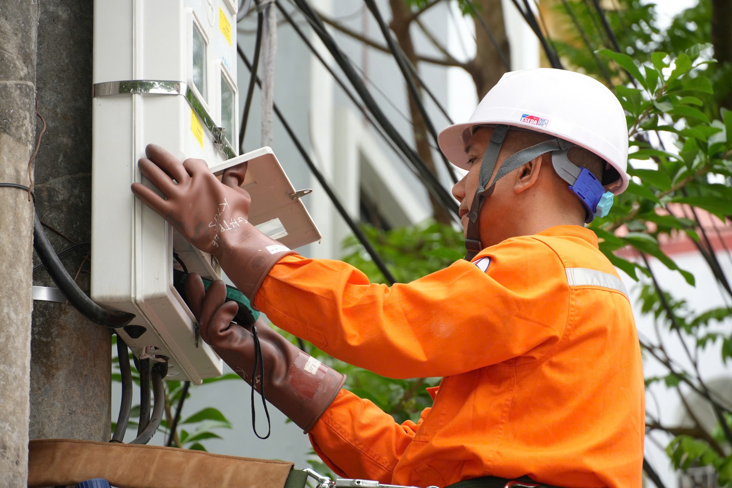 z7687705119578_62f6933b729a568cc7710d6e91a1bb19