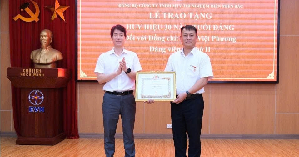 Đảng bộ Công ty TNHH MTV Thí nghiệm điện miền Bắc trao tặng huy hiệu 30 năm tuổi Đảng cho đồng chí Trần Việt Phương