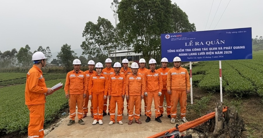 Công ty Điện lực Lào Cai chủ động kiểm soát rủi ro, giảm thiểu sự cố hành lang lưới điện