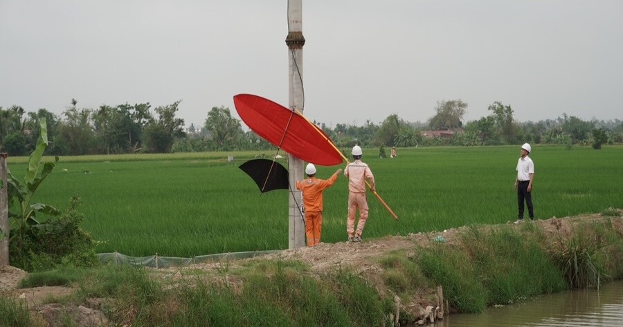 Quyết tâm ngăn ngừa sự cố lưới điện do thả diều và vi phạm an toàn hành lang lưới điện