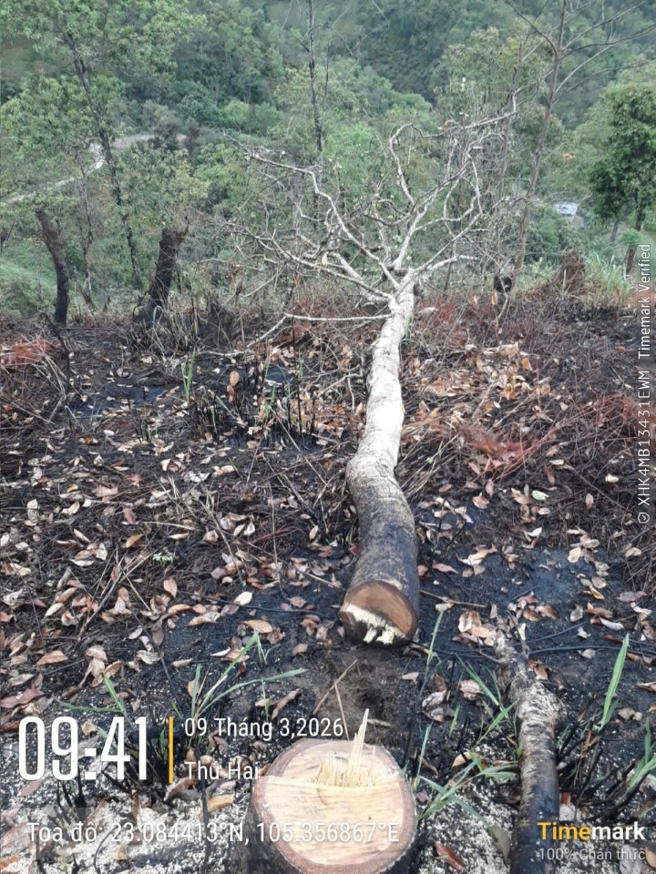 z7709722797625_0c900bd7731836ca25b3aa648964e6a6