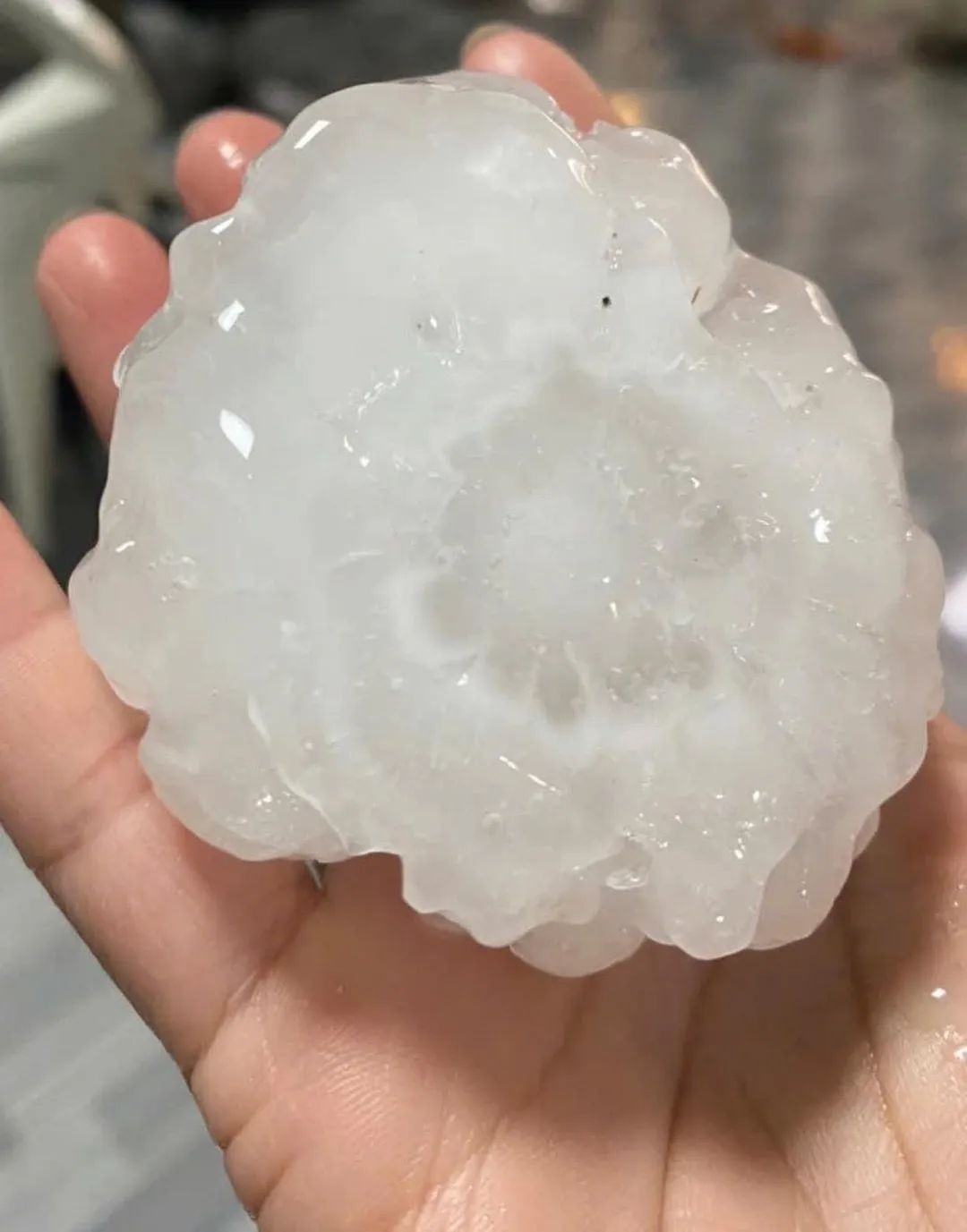 671911796_1430657745768534_2749022538462944642_n