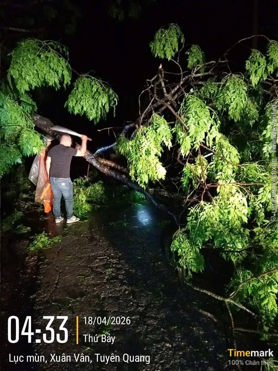 672683121_1432753305558978_5982811964930950092_n