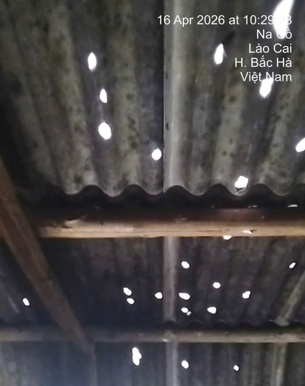 673589254_1430657962435179_3529802679126683453_n