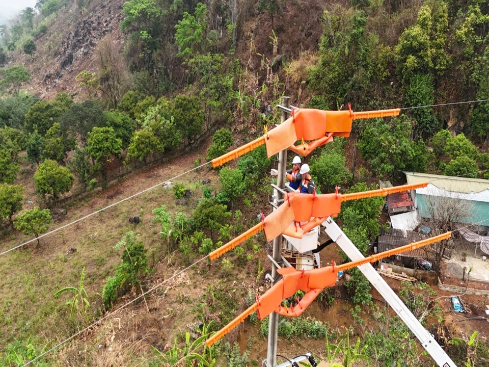 PCSLsathachhotline (1)