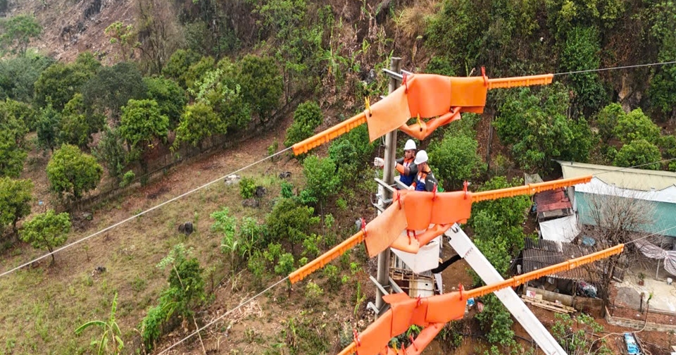 Sát hạch tay nghề, chuẩn hóa năng lực Đội sửa chữa điện Hotline
