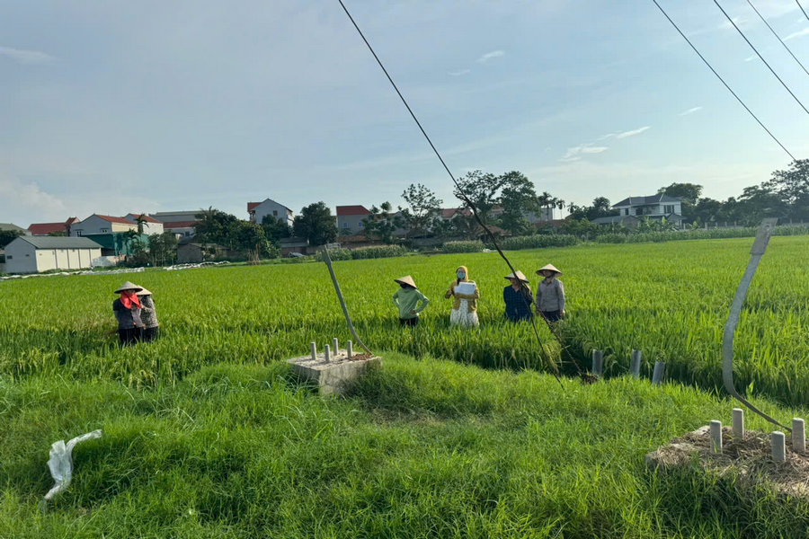 MB chan cot vuong mac (Copy)