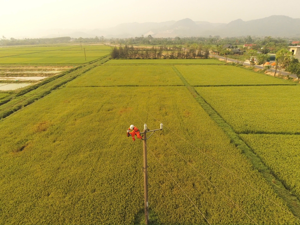 z7723138517120_8502e6ed8efe5f2554e5b9b92c975d36